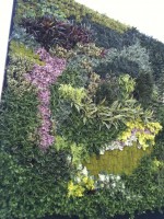 Deluxe Vertical Gardens